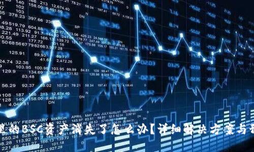 TP钱包里的BSC资产消失了怎么办？详细解决方案与预防指南